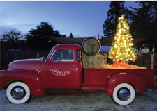 Benessere Vineyards Christmas Party - Guest