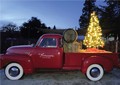 Benessere Vineyards - Christmas Party -Member